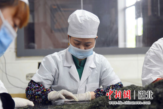 精细择茶