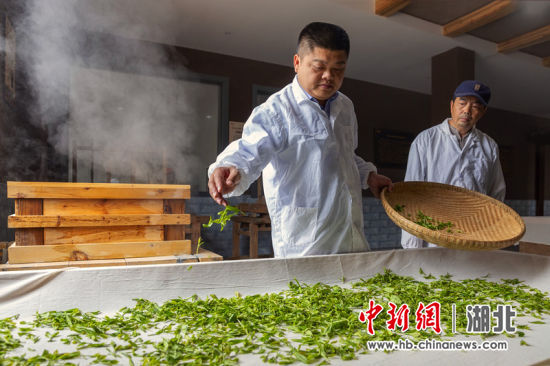 传统制茶工艺