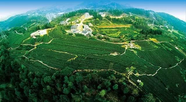 湖北车溪人家生态农业有限责任公司