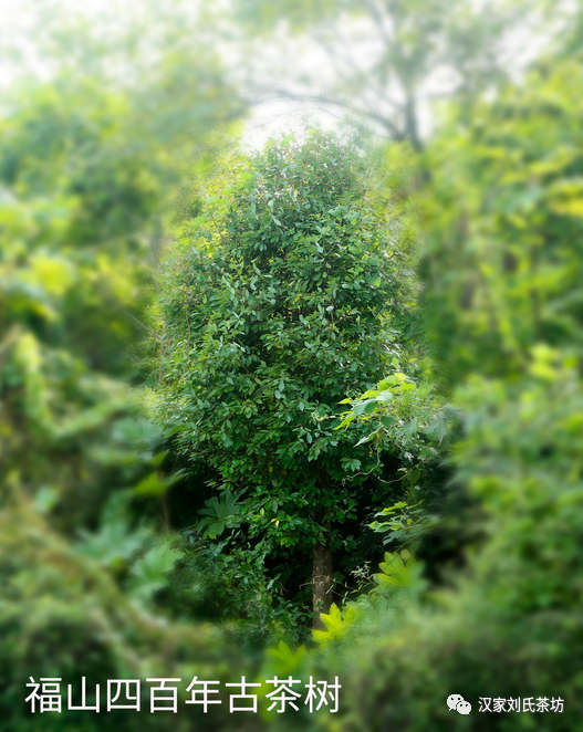 微信图片_20201215004350.png undefined