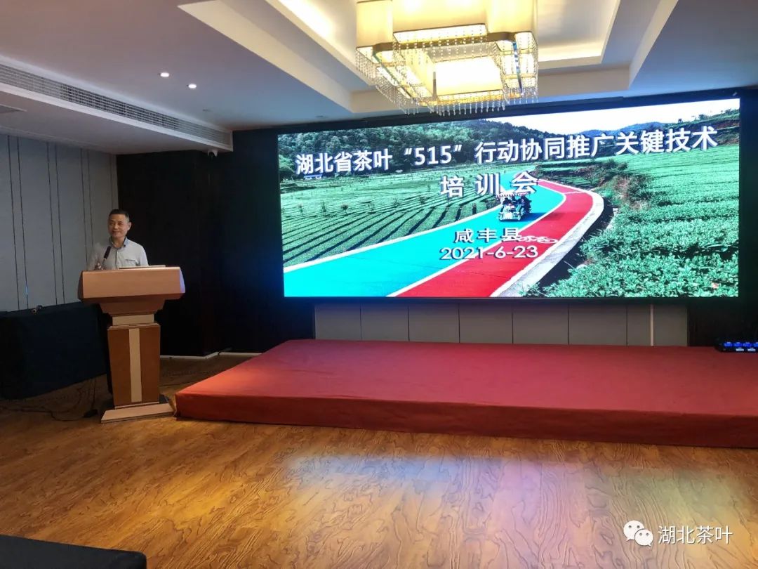 湖北茶叶网