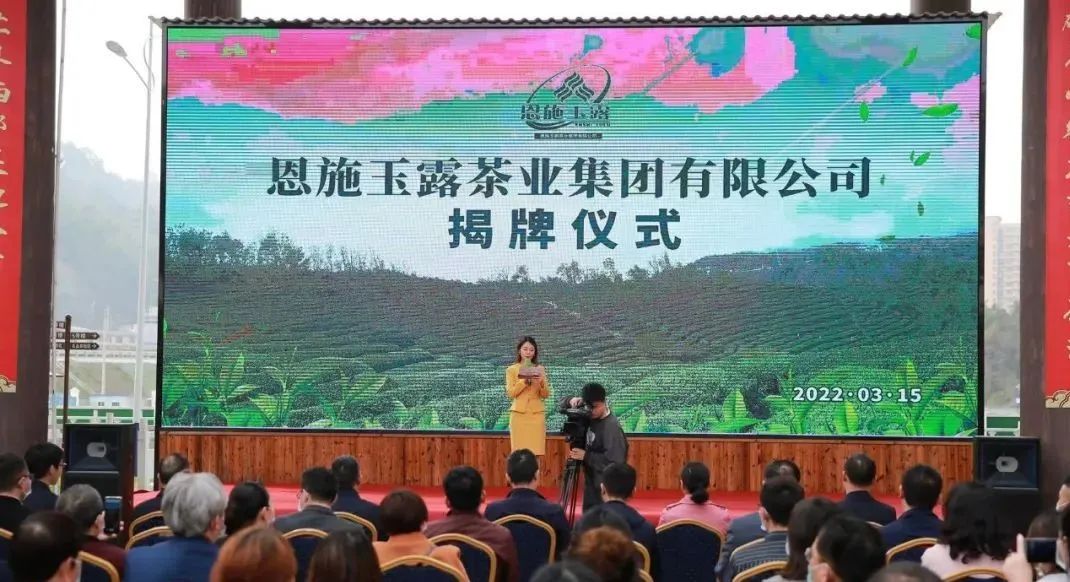 恩施玉露茶业集团