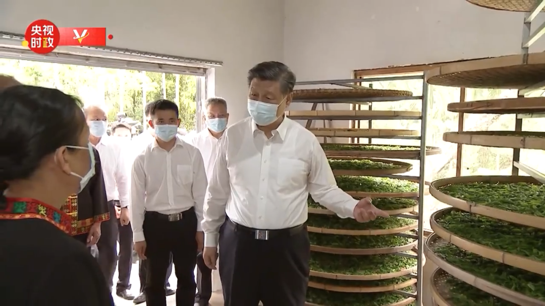 湖北茶叶网