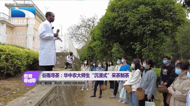 湖北茶叶网（www.hbtea.cn）