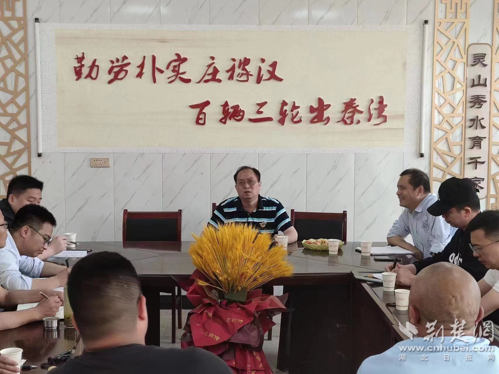 湖北茶叶网消息