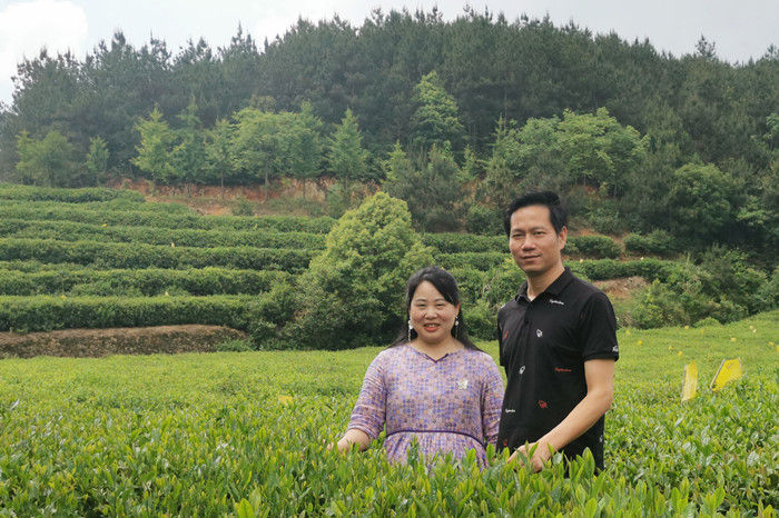 雾云山茶业负责人张芬女士与湖北茶叶网总编李锐先生