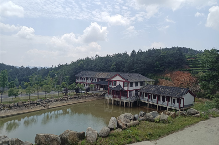 湖北茶叶网考察蕲春雾云山茶厂