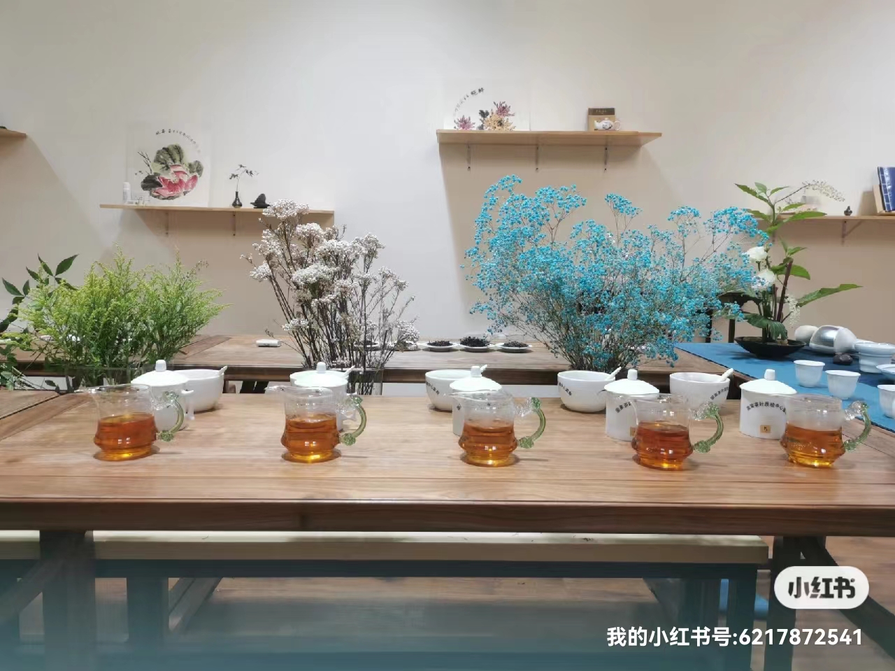 一期一茶会，以茗会友
