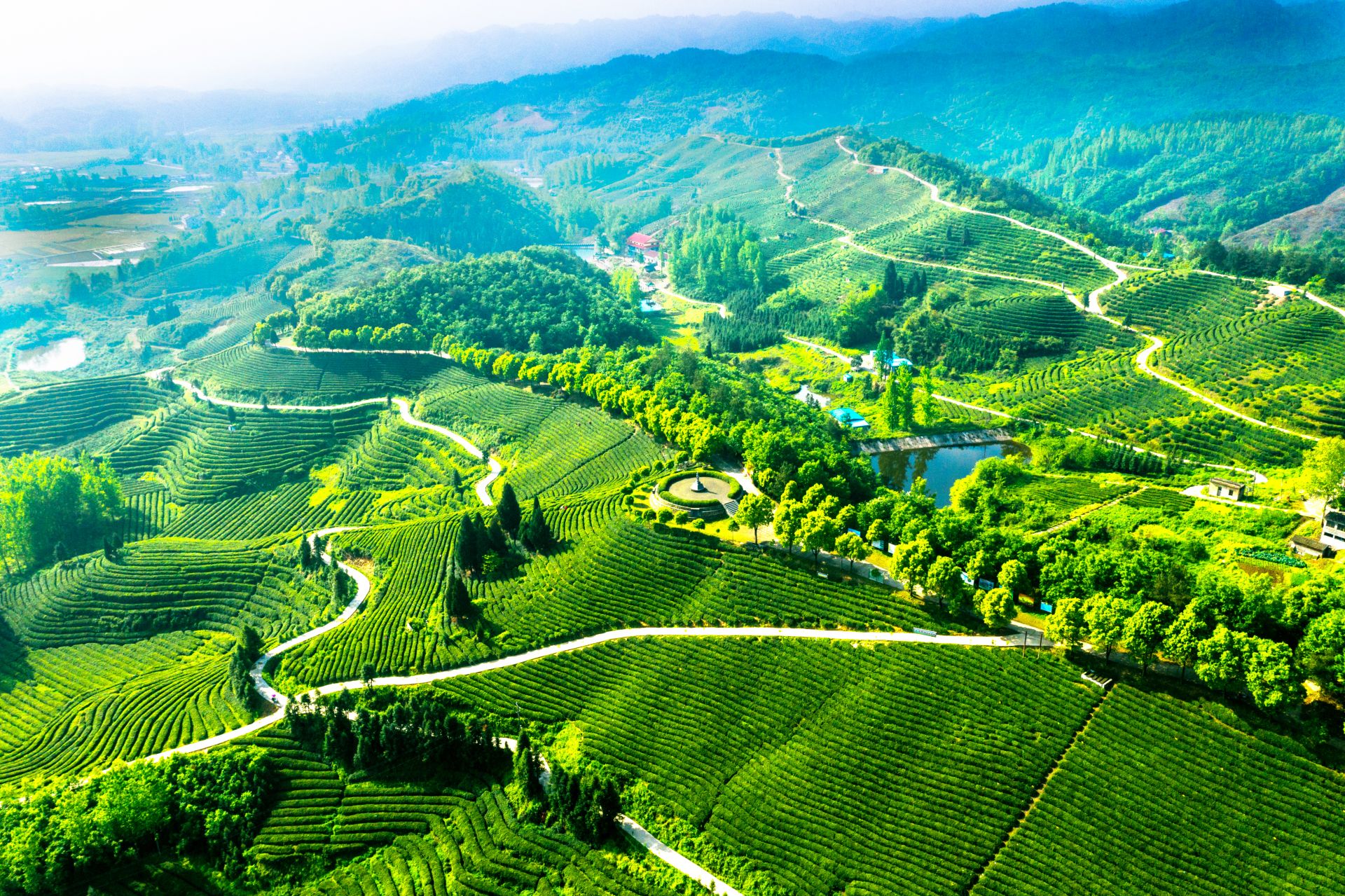 湖北玉皇剑茶业有限公司茶庄园