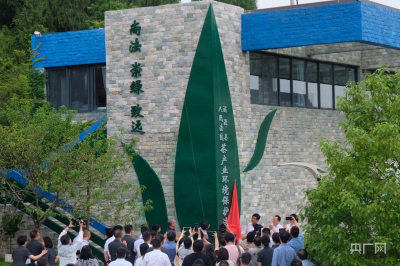 全国首个茶产业环境保护法庭.jpg