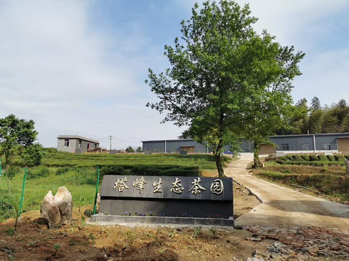赤壁市赵李桥塔峰茶业