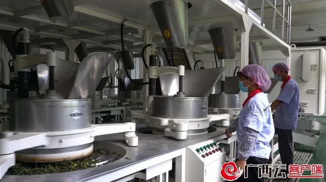 六堡001.jpg undefined