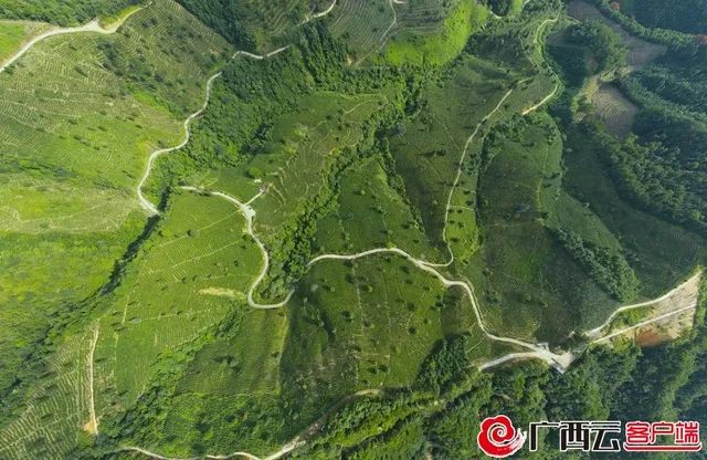 六堡004.jpg undefined