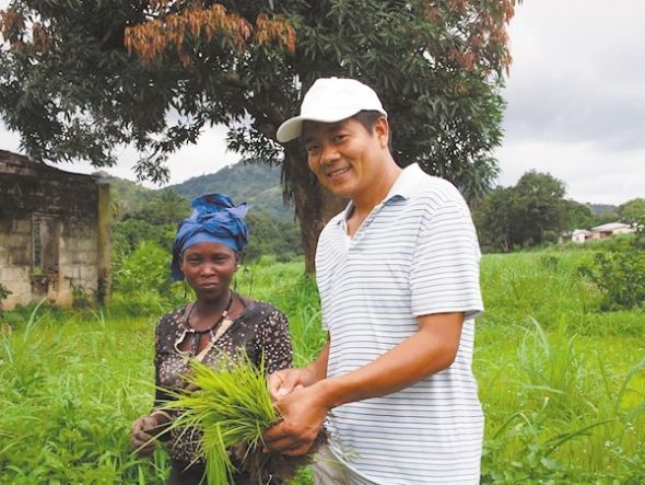 援外专家在非洲指导水稻种植。