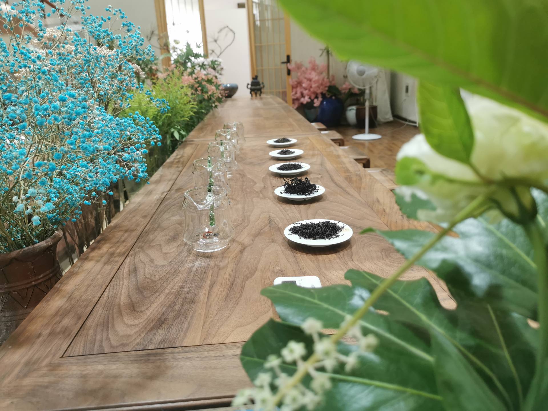 入选非遗，44项中国“茶文化”让世界叹服