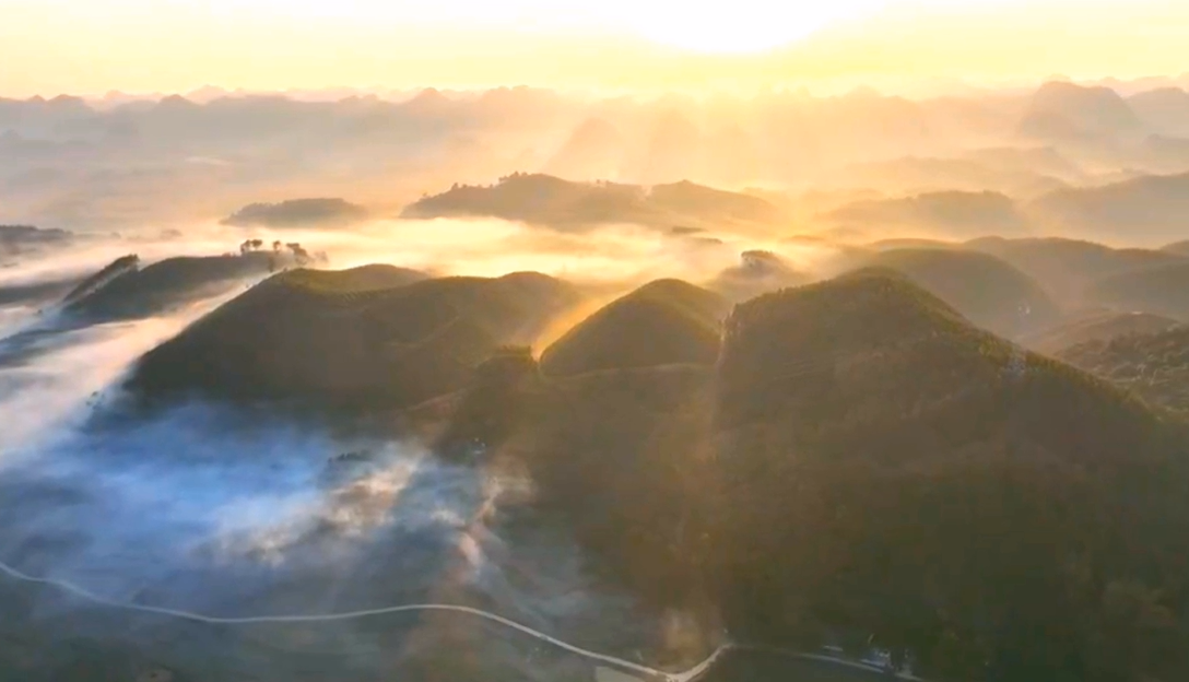 广西天等：高山茶园云雾缭绕 胜似人间仙境