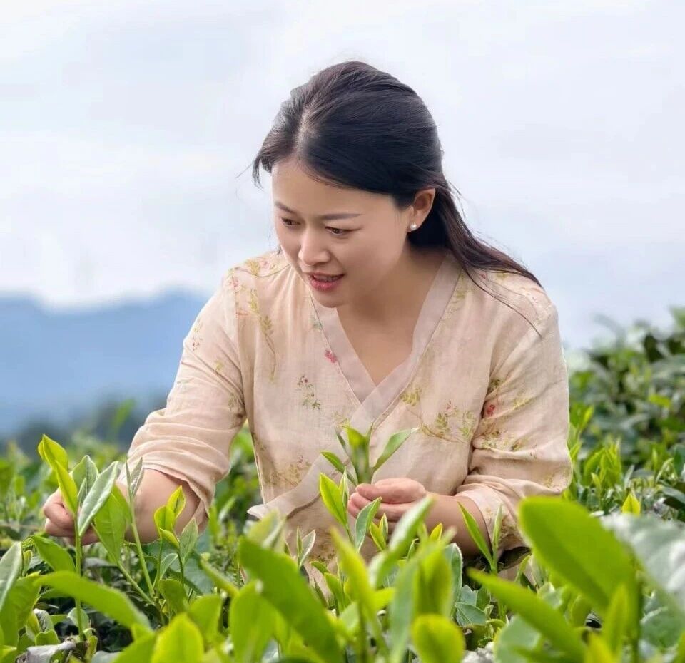 --湖北绿色梦农业开发有限公司总经理周平 --湖北绿色梦农业开发有限公司总经理周平