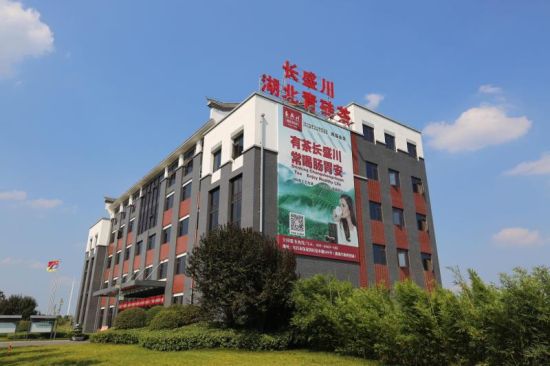 一片小茶叶 承载大梦想——鑫鼎集团产业扶贫纪实