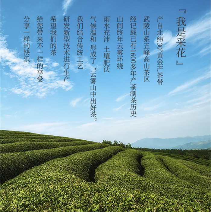 湖北采花茶业有限公司