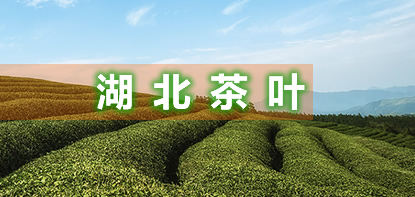 恩施州举办茶业职业技能大赛