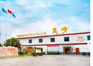 恩施蓝焙茶叶有限公司