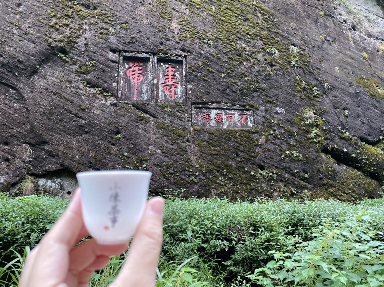 我市将举办中国（南平）茶科学家论坛