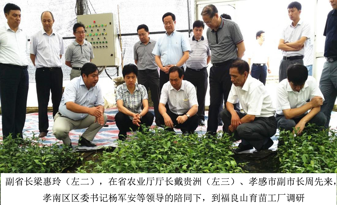 湖北福良山农业科技股份有限公司