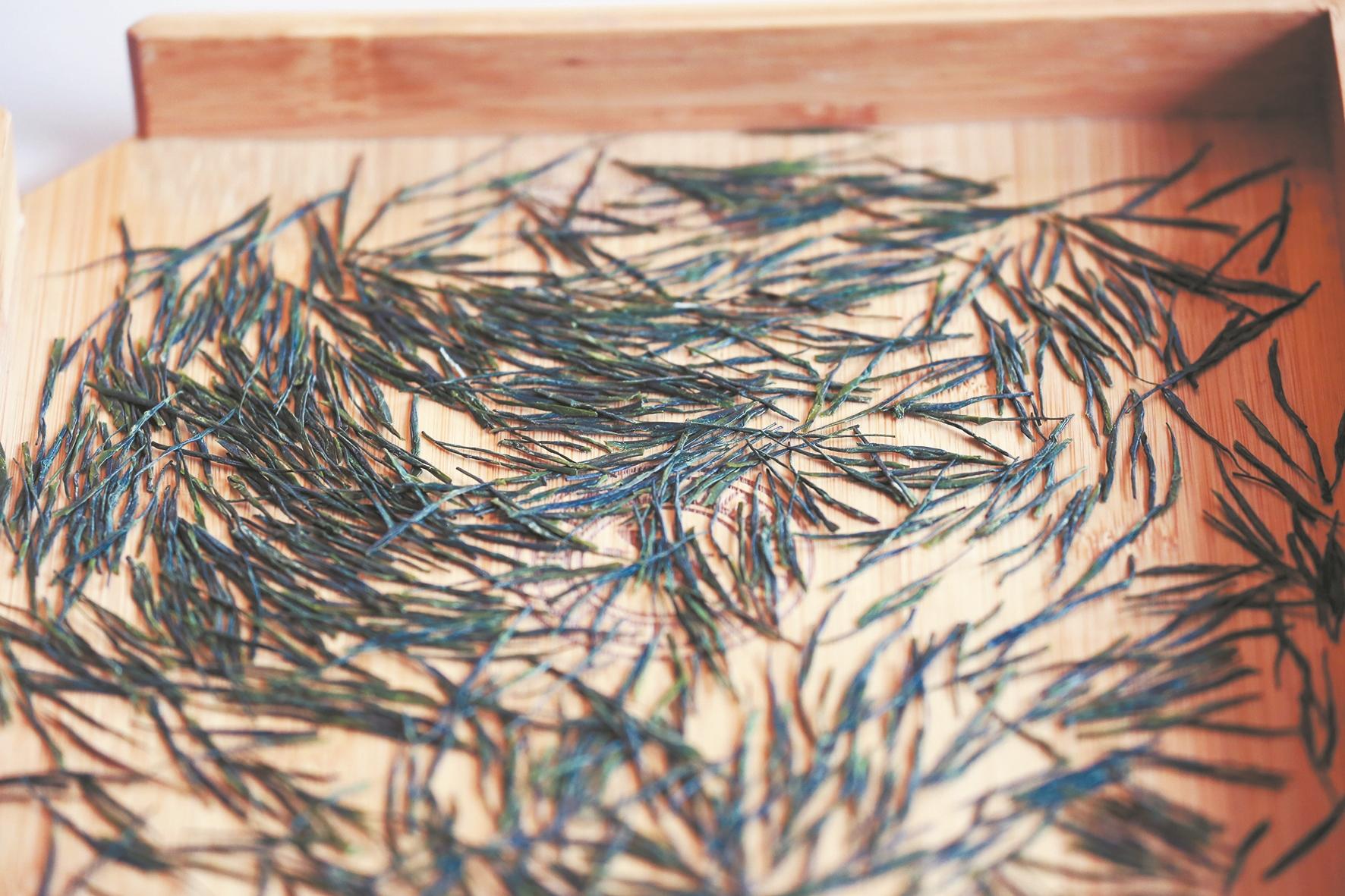 楚茶飘香湖北茶叶一季度出口4041万美元