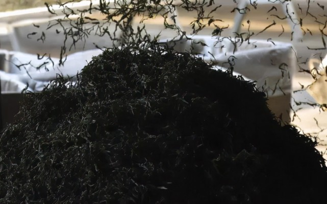 无奈的茶价！失落的茶企！普洱茶大变局时代，已悄悄到来