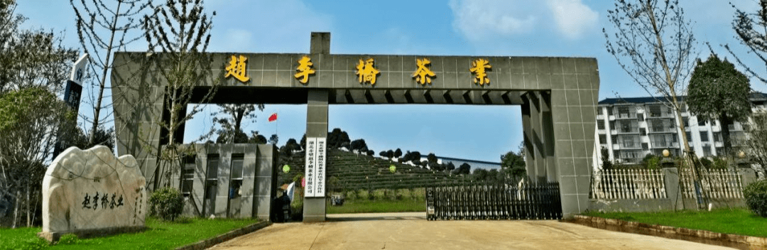 湖北赤壁赵李桥茶业有限公司 