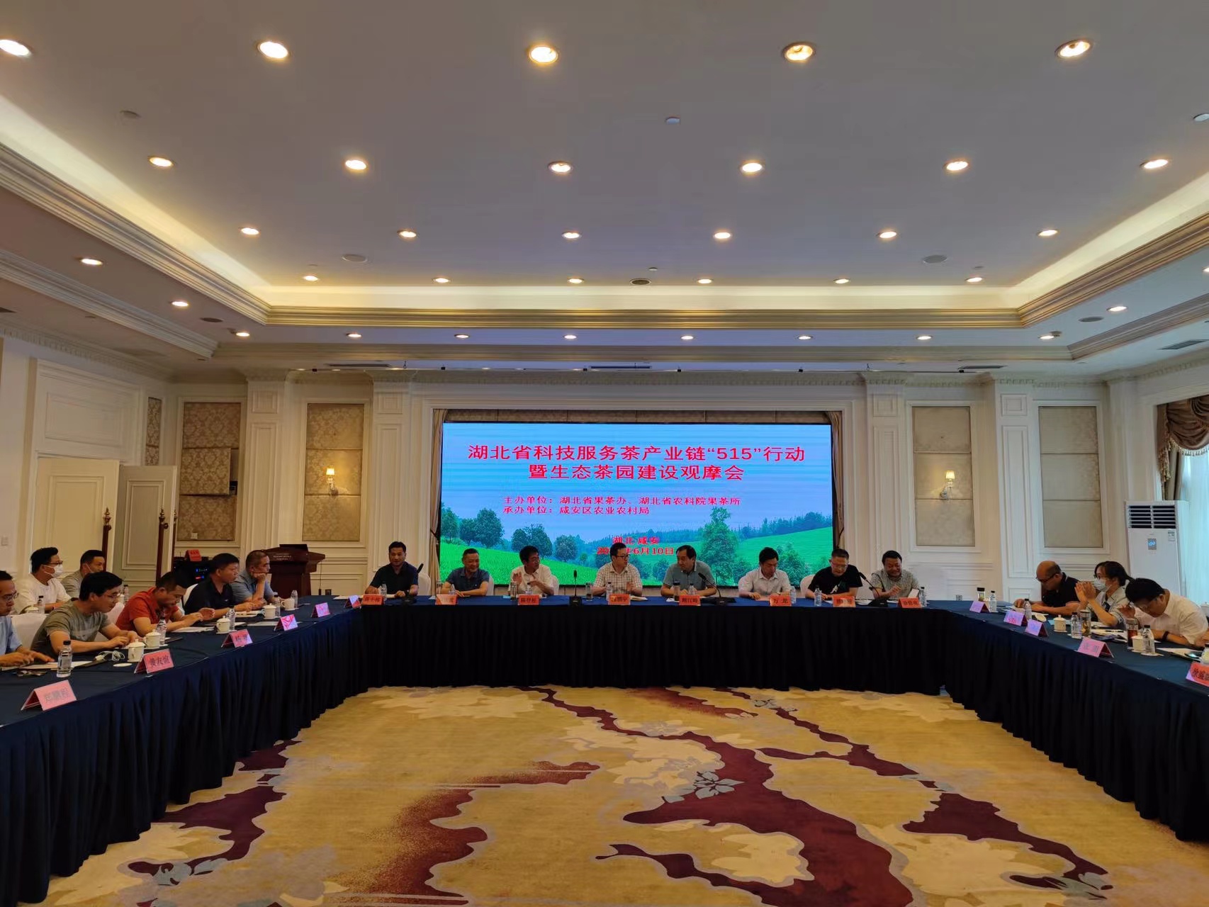 湖北省科技服务茶产业链“515”行动暨生态茶园建设观摩会在咸安举行