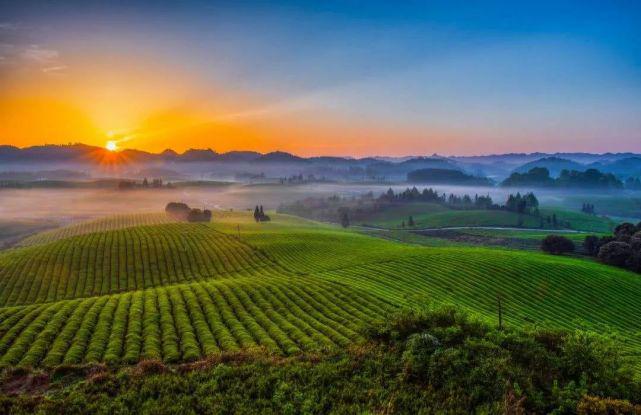 热烈祝贺古洞春茶业连续三次获得“国家高新技术企业”认定！