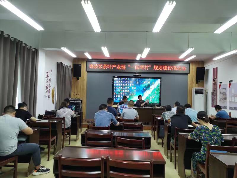 夷陵区召开茶叶产业链“一园两村”规划建设推进会