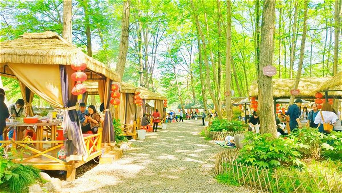 湖北远安1.9万农民吃上“生态饭”