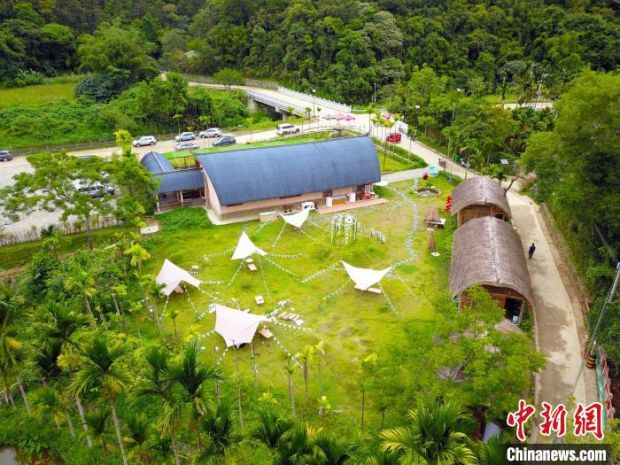 海南五指山黎乡新发展：因地制宜发展茶产业 百姓吃上“旅游饭”