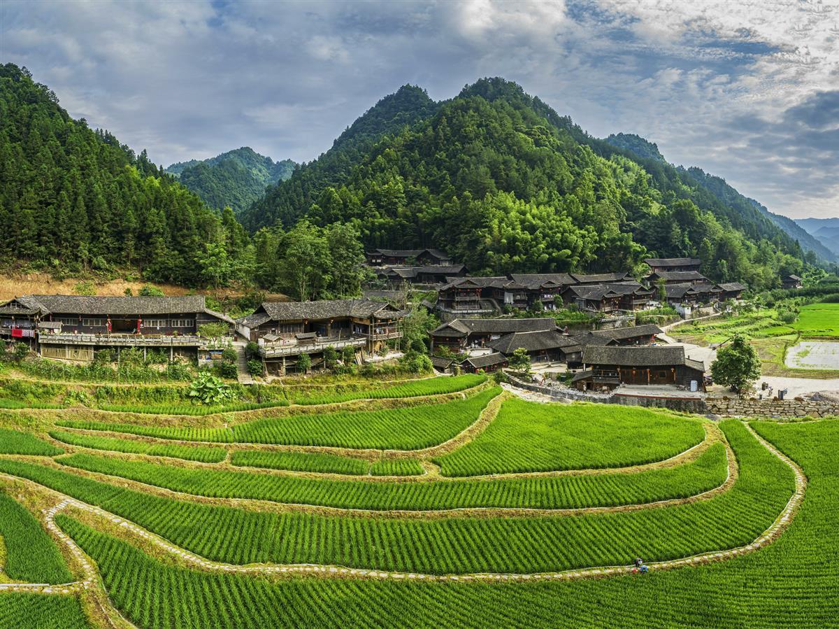 仙山贡水茶飘香, 浪漫宣恩迎客来