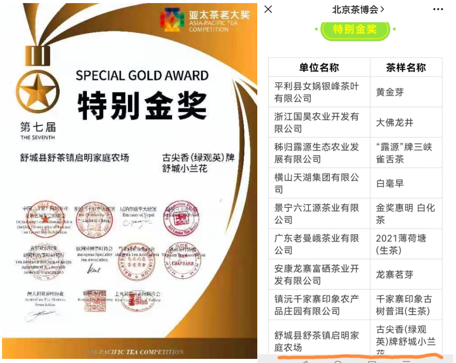 六安市舒城县舒茶镇：“绿观英”再次斩获“特别金奖”