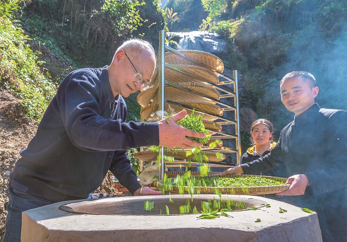 中国茶叶学会恩施服务站成立