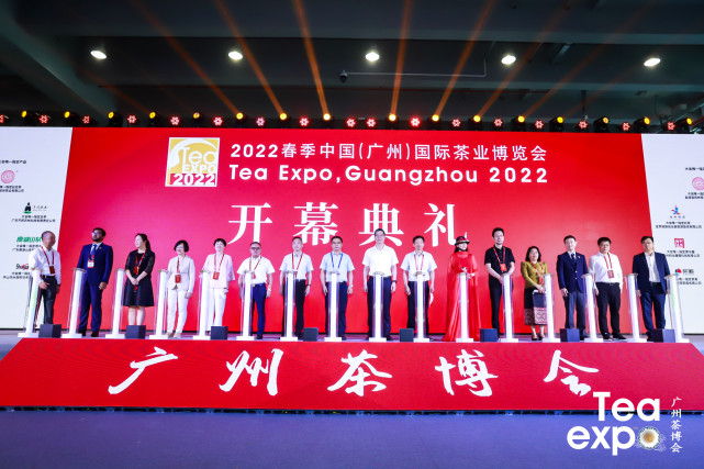 广州茶博会今日开幕 中国茶市新风向看这里