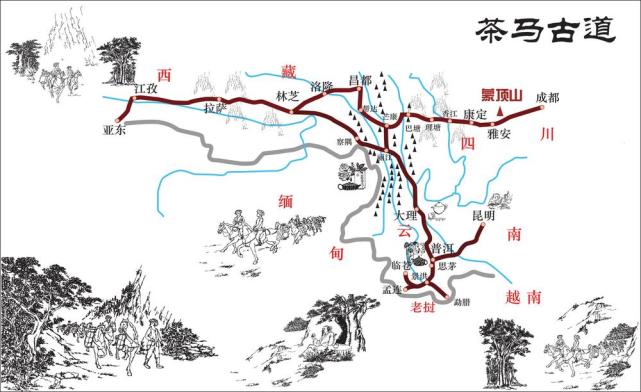 从万里茶道到茶马古道，云南和湖北跨时空邂逅