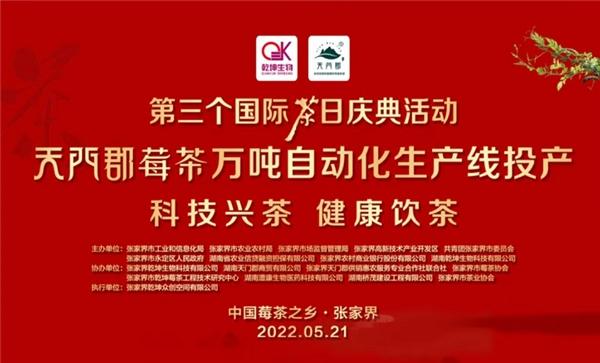 521国际茶日，天门郡——国内首条万吨莓茶自动化生产线投产
