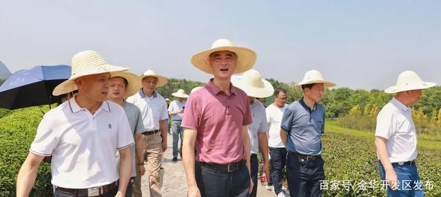 中国国际茶文化研究会来金华开发区调研：以茶香之韵助力共同富裕