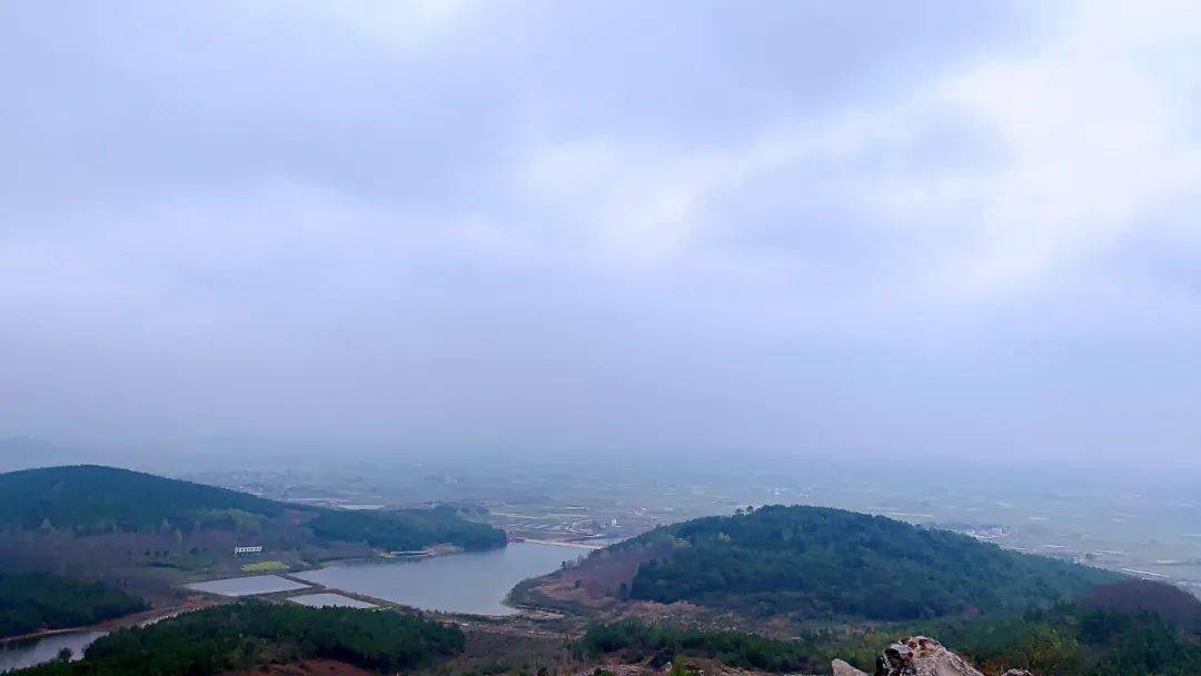 佛子山下茶香溢，优质稻米故乡情——等你一品