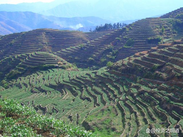 让我们谈论一下中国茶文化