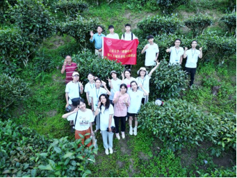 茶香飘景东 本土种茶人这样说~