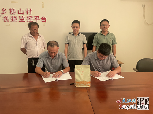 武宁县石渡茶叶联名合作江茶集团，集体经济发展驶上“快车道”