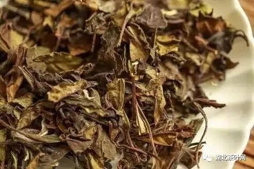 可以煮来喝的几种茶