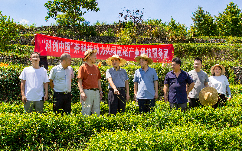 三方合力精准对接 中国茶叶学会助阵茶企抗害救灾