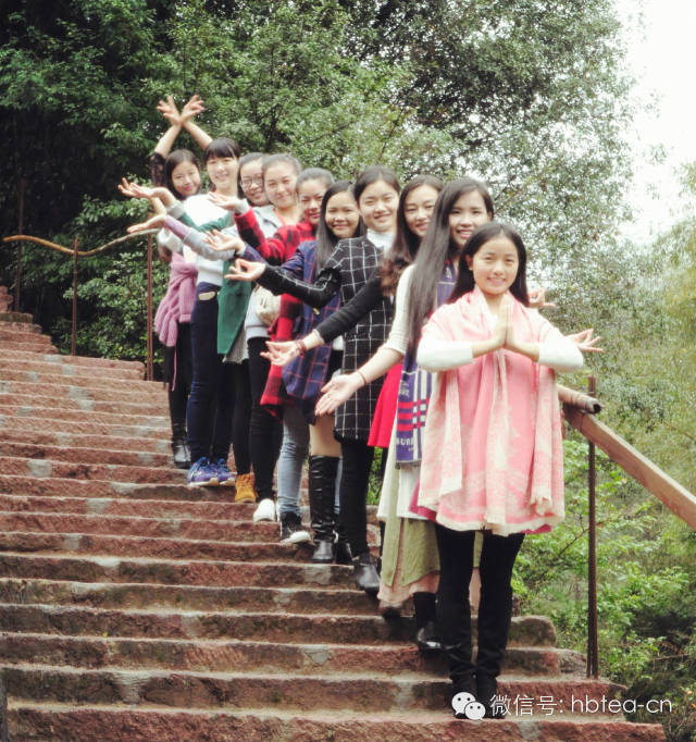 艺茗道茶文化中心“武夷山研学”开始报名了