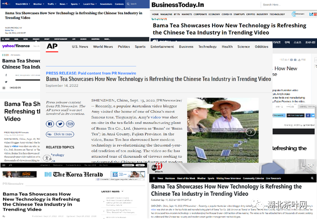 海外网友热议：中国茶产业“让人大开眼界”